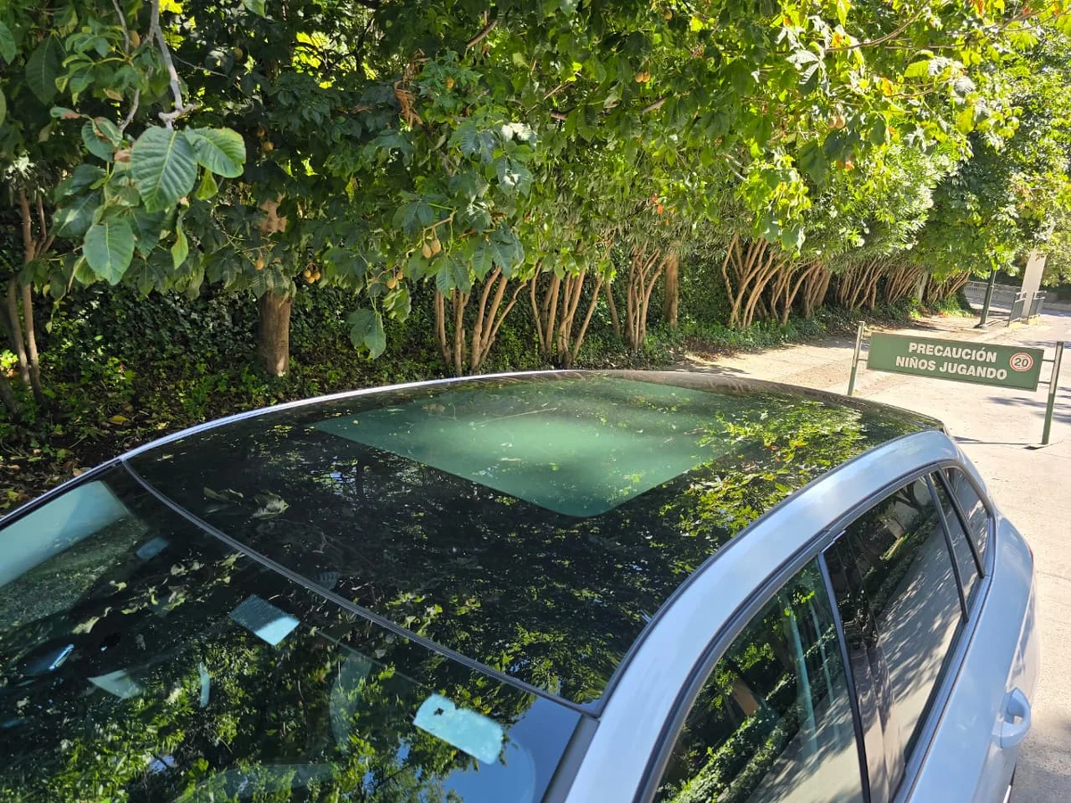 2021 SKODA SCALA - Miniatura 9