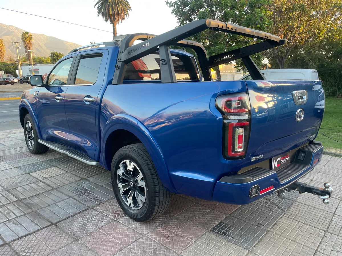 Great Wall Poer 2023