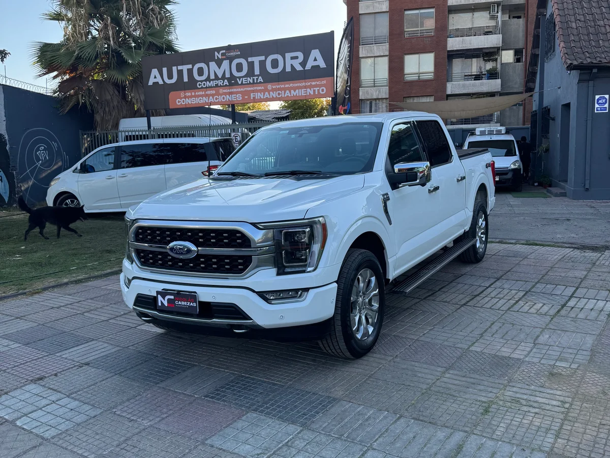 FORD F-150 PLATINUM