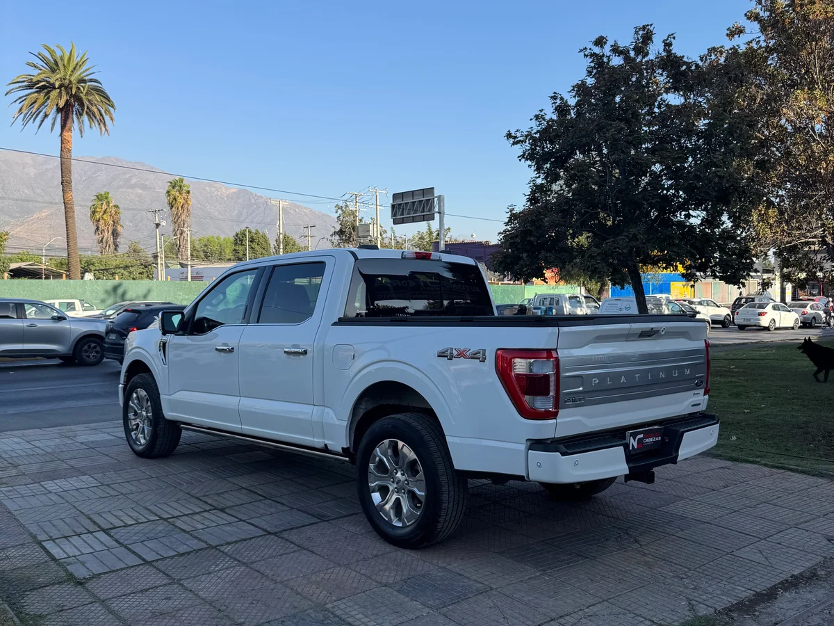 FORD F-150 PLATINUM