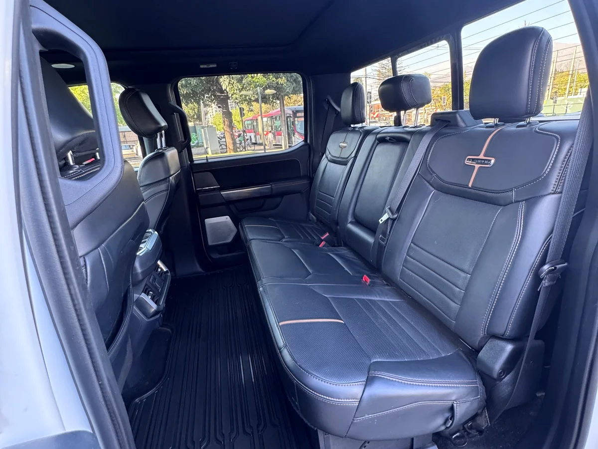 FORD F-150 PLATINUM - Miniatura 11