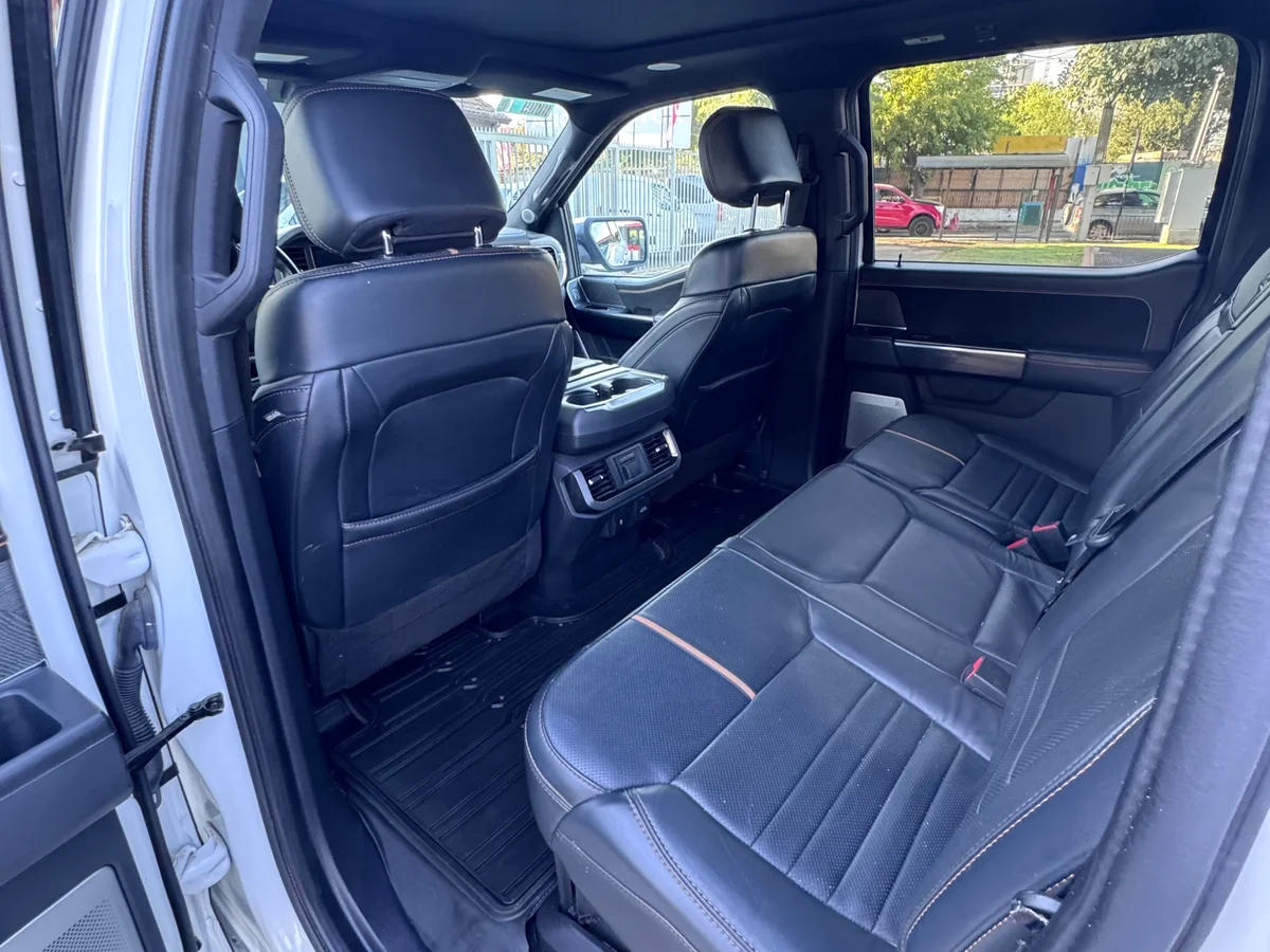 FORD F-150 PLATINUM - Miniatura 12