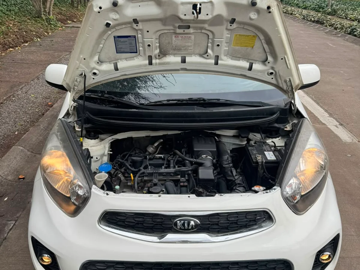 KIA Morning EX 1.0L MT5 AC año 2016 - Miniatura 14